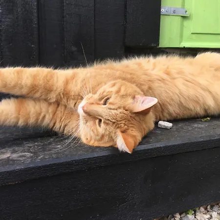 Rum i privatbostad Hos Sos
